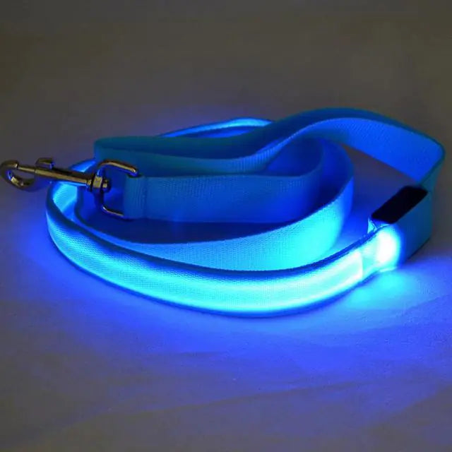 Rechargeable LED Pet Leash