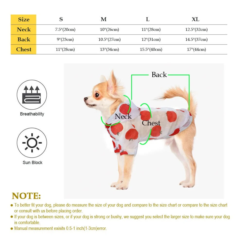 Small Pet Raincoat